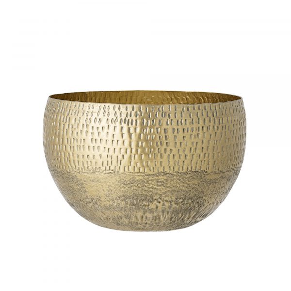 Taça pan pequena