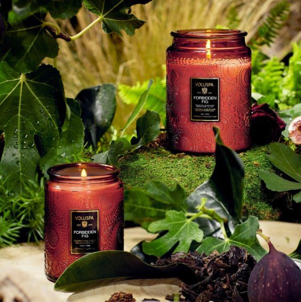 FORBIDDEN FIG - SMALL JAR CANDLE