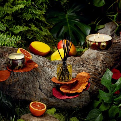 Vela Goji Tarocco Orange Small - voluspa - Image 8