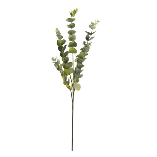 EUCALIPTO ARTIFICIAL - Image 4