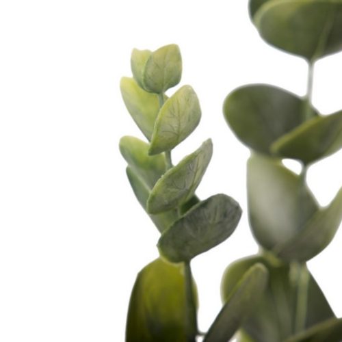 EUCALIPTO ARTIFICIAL - Image 3