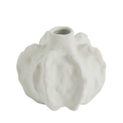 Jarra Coral
